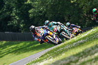 brands-hatch-photographs;brands-no-limits-trackday;cadwell-trackday-photographs;enduro-digital-images;event-digital-images;eventdigitalimages;no-limits-trackdays;peter-wileman-photography;racing-digital-images;trackday-digital-images;trackday-photos